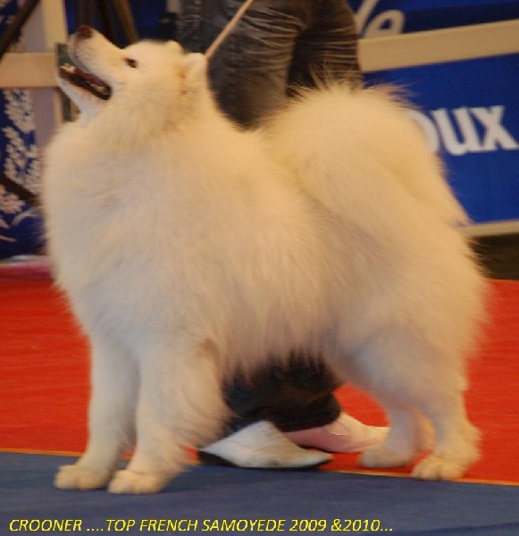 Publication : of Karasea