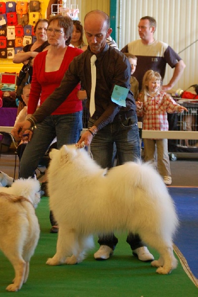 Publication : of Karasea