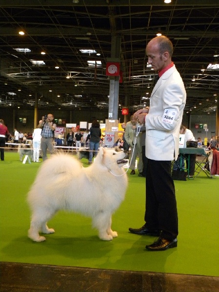 Publication : of Karasea