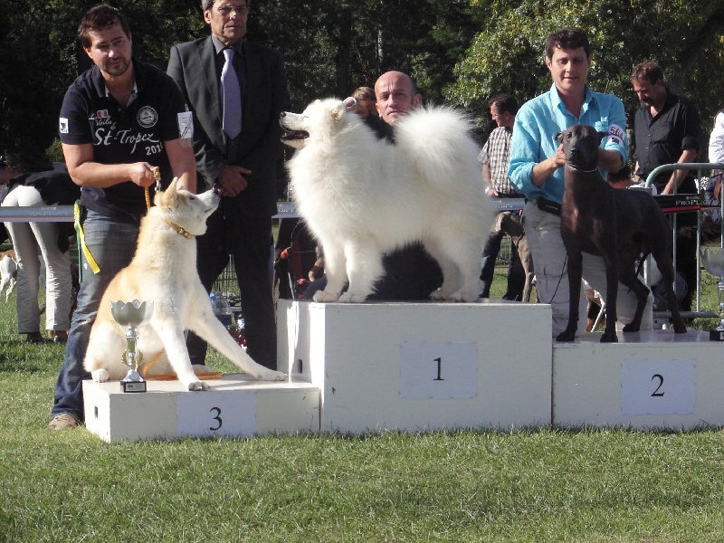 Publication : of Karasea