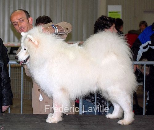 Publication : of Karasea