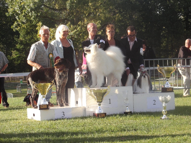 Publication : of Karasea