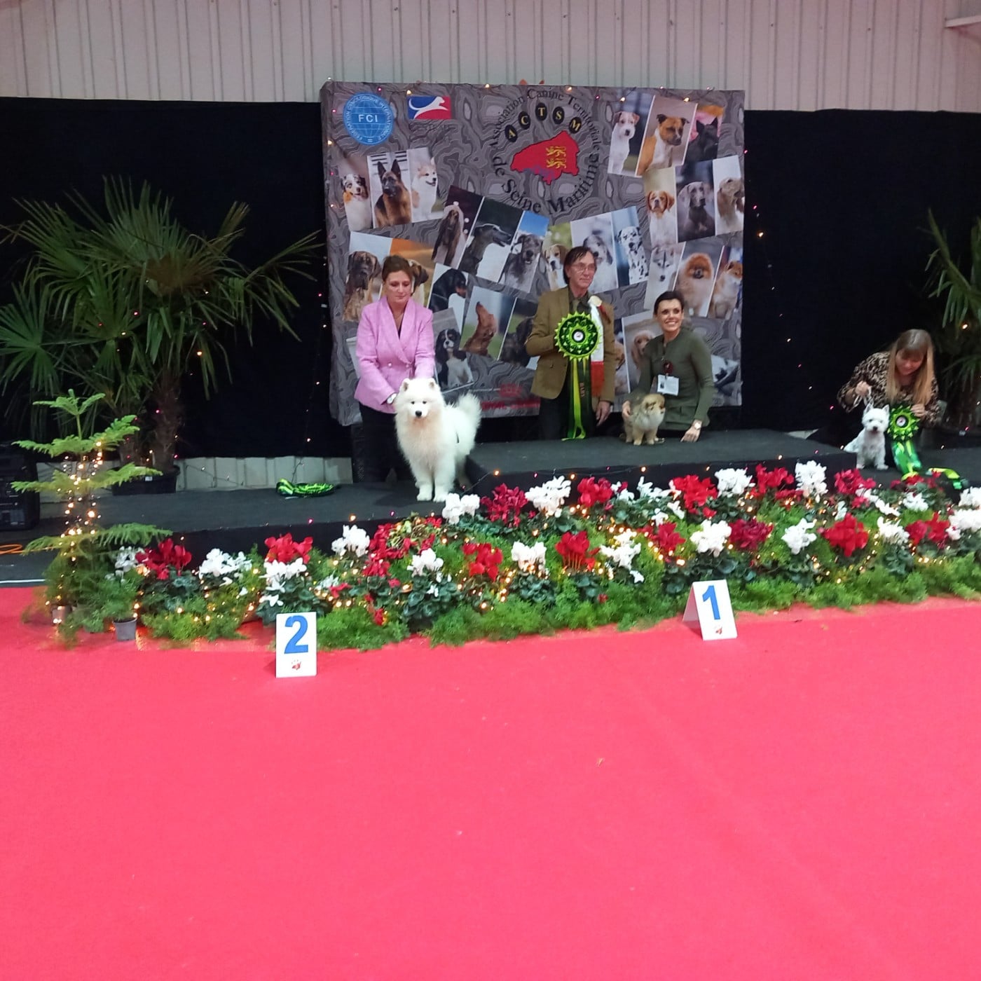 Another Story Thalos of Karasea - Classe Baby/ 1er Très Prometteur/BOB Baby/2ème Best in Show Baby