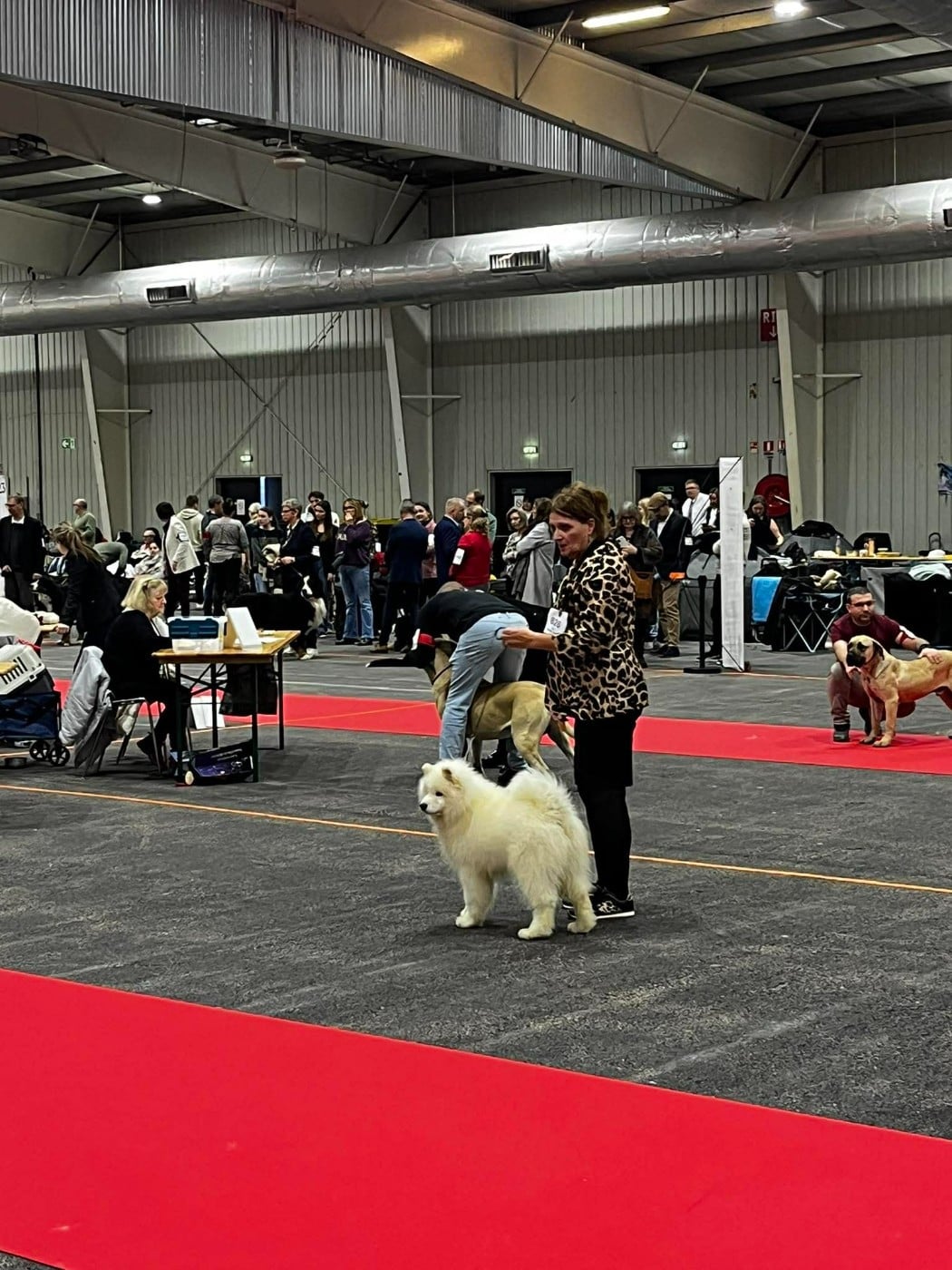 Another Story Thalos of Karasea - Classe Baby / 1er Très Prometteur/ Meilleur Baby