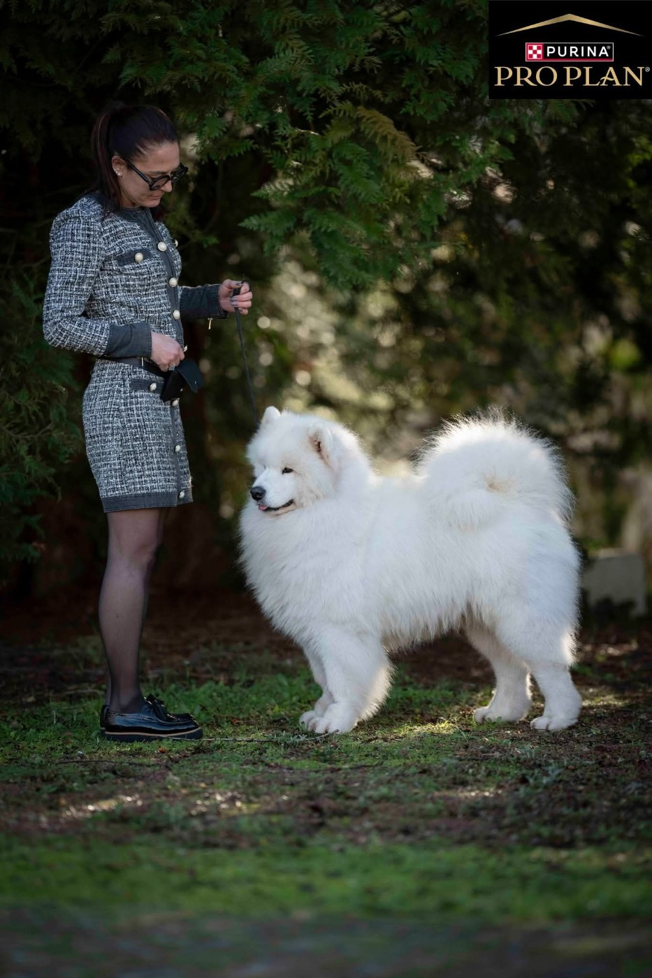 CH. Tendency dogs todd of Karasea - Classe Champion: 1er Exc/ Meilleur de Race