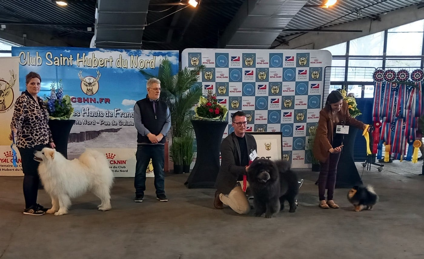 CH. Palm beach pumba of Karasea - Classe Champion : 1 Exc / Meilleur de Race / 2ème du Groupe 5