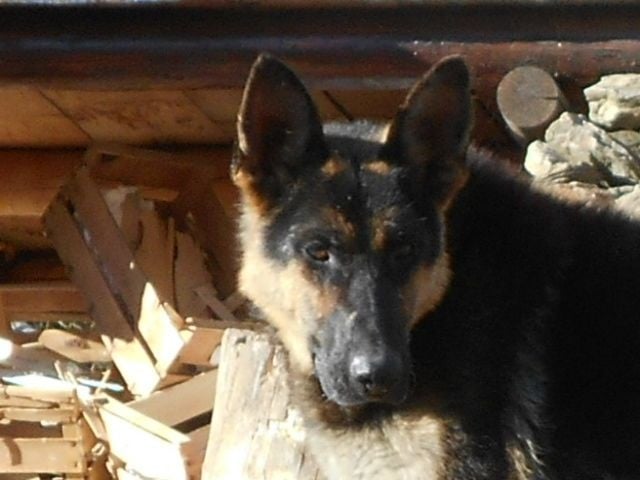 Publication : du Clos de la Vallée Blanche Auteur : boubert eric