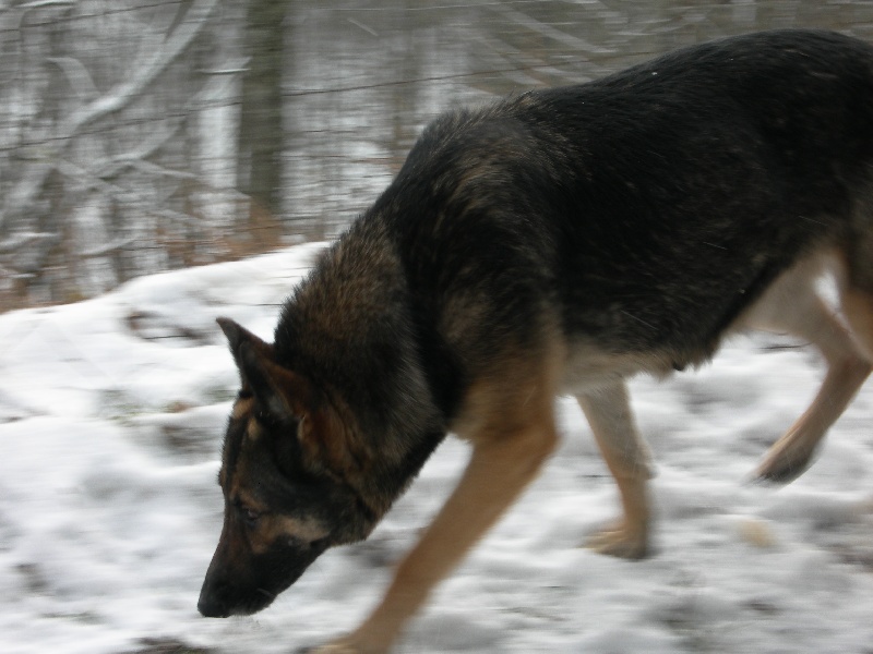 Publication : du Clos de la Vallée Blanche Auteur : Eric BOUBERT