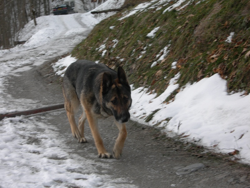 Publication : du Clos de la Vallée Blanche Auteur : Eric BOUBERT