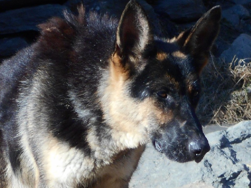 Publication : du Clos de la Vallée Blanche Auteur : boubert eric