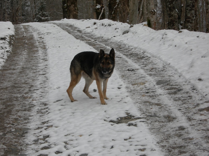 Publication : du Clos de la Vallée Blanche Auteur : Eric BOUBERT