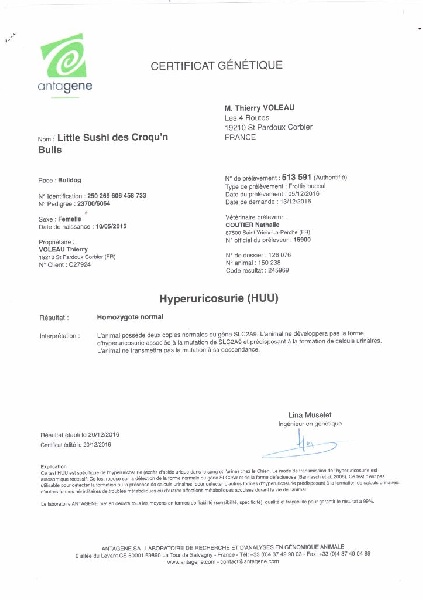 Publication : des Croqu'n Bulls Auteur : Thierry VOLEAU