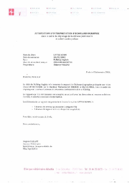 Publication : des Croqu'n Bulls Auteur : Thierry VOLEAU