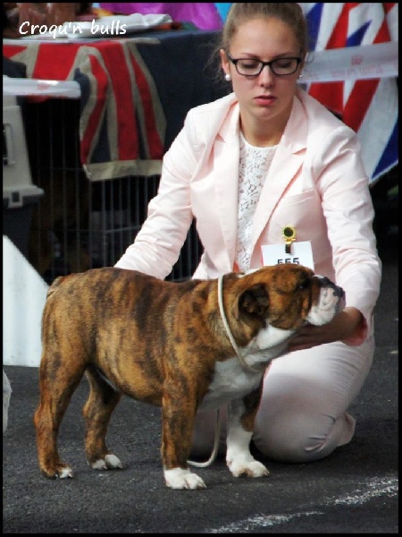 Little sushi des Croqu'n Bulls - 1er Très Prometteur/ Meilleur Baby