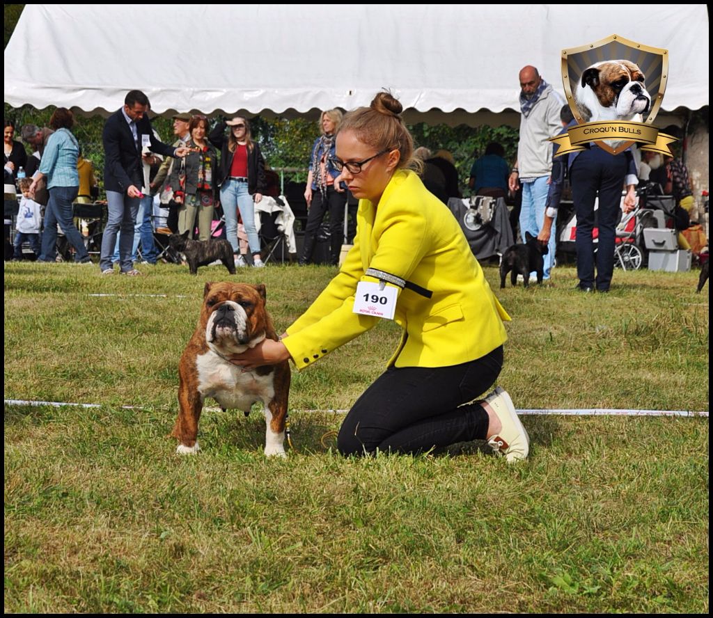Little sushi des Croqu'n Bulls - 1er Excellent CAC/ BOB