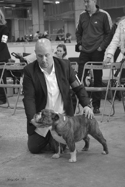 Little sushi des Croqu'n Bulls - Très Prometteur