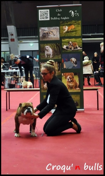 Little sushi des Croqu'n Bulls - 2ème Excellent