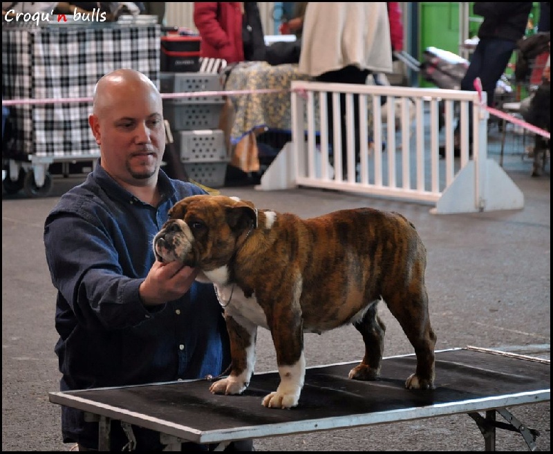 Little sushi des Croqu'n Bulls - 1er Excellent