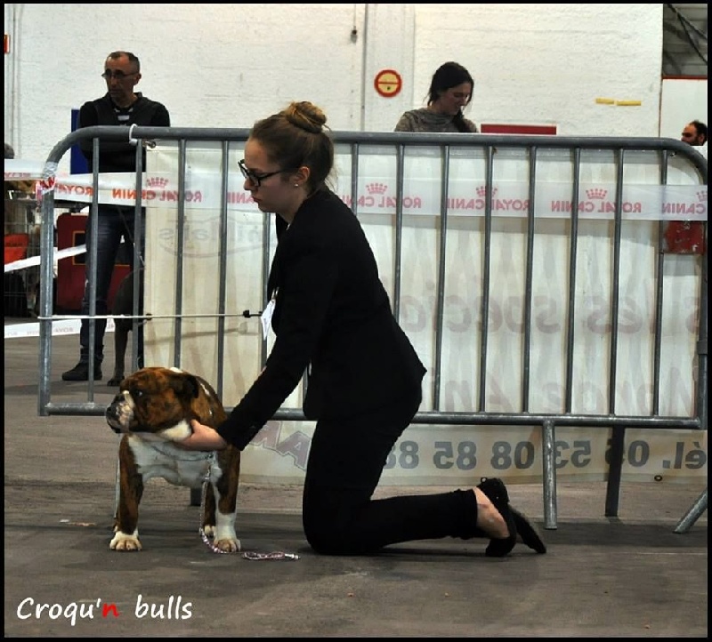 Little sushi des Croqu'n Bulls - 1er Excellent, Meilleur Jeune