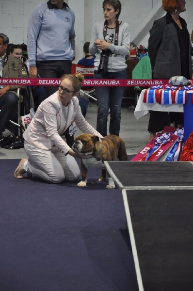 Little sushi des Croqu'n Bulls - Excellent Classe Jeune