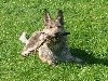 - MNOURS DE L ABBAYE DES SOURCES BLEUES