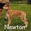 - Newton de l Abbaye des sources bleues