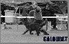 - Galoubet de l Abbaye des sources bleues