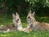 - Mnours et Malou de l Abbaye des sources bleues