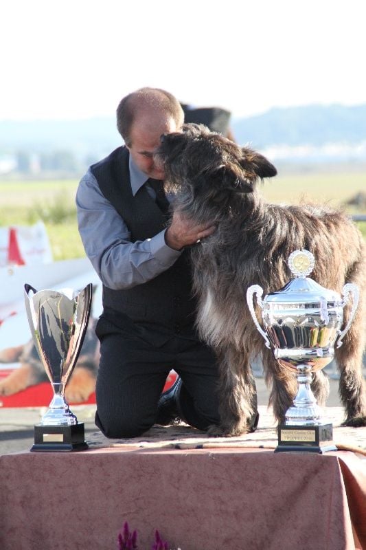 Publication : De L'abbaye Des Sources Bleues Auteur : Patrick Rogez