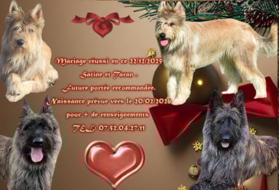 De L'abbaye Des Sources Bleues