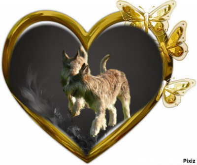 De L'abbaye Des Sources Bleues