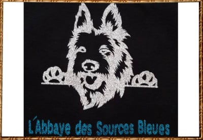De L'abbaye Des Sources Bleues