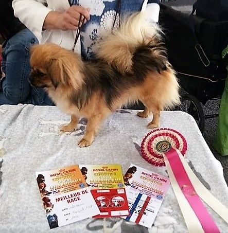 Publication : de Yangchen