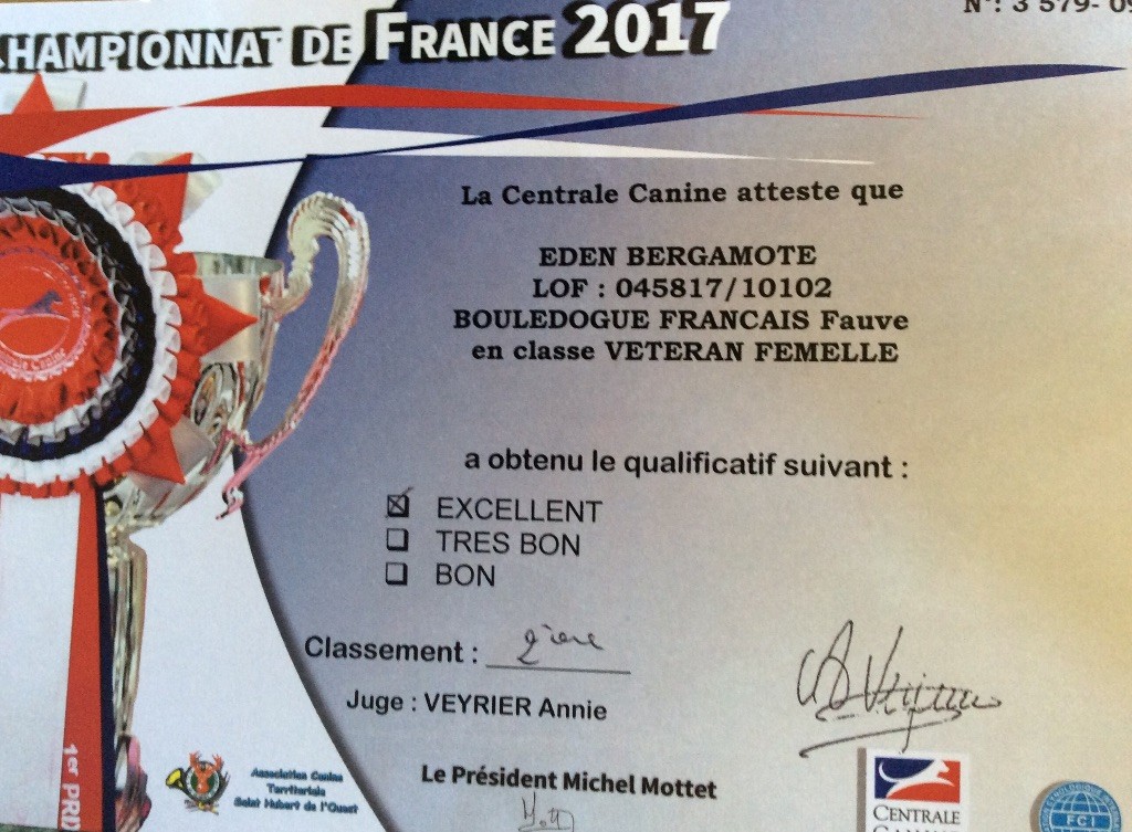 Ch eden bergamote (Sans Affixe) - Classe Vétéran : 2e Excellent