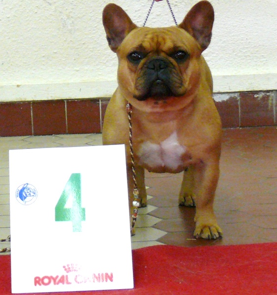 Ch eden bergamote (Sans Affixe) - 4è Excellent