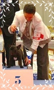 Irma des Chenaies de Kom Pystou - Classe Chiot : 3è Très Prometteur