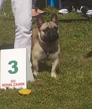 Ilios river des Ulyskanes du Fleury - Classe Intermédiaire : 3è Excellent