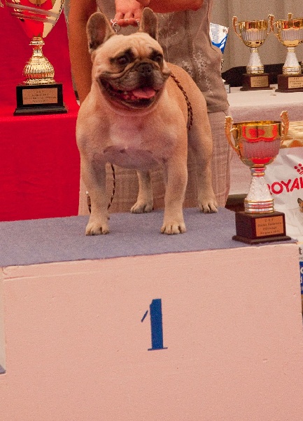 CH. Ercule twist (Sans Affixe) - 1er Excellent