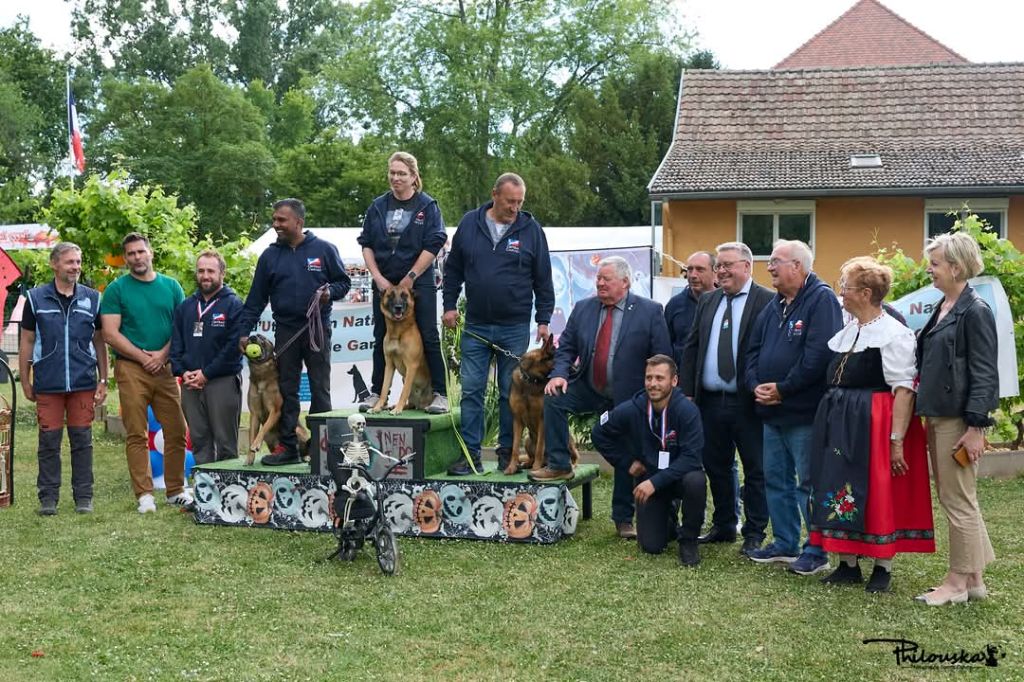 Ninja du Chateau de Boxie