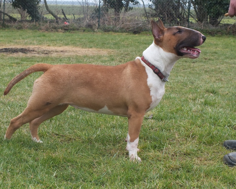 Heaven White Goose pimples amjelicious