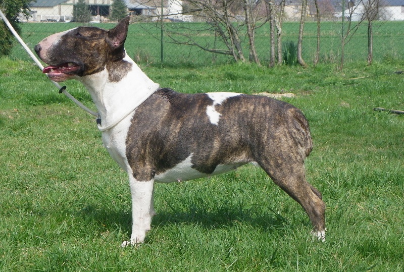 Publication : Heaven White Auteur : melanie