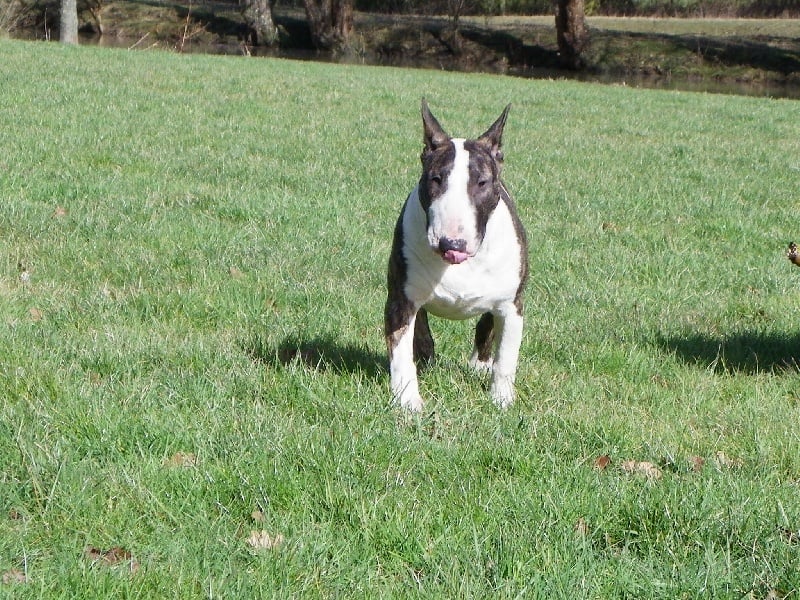 Publication : Heaven White Auteur : melanie