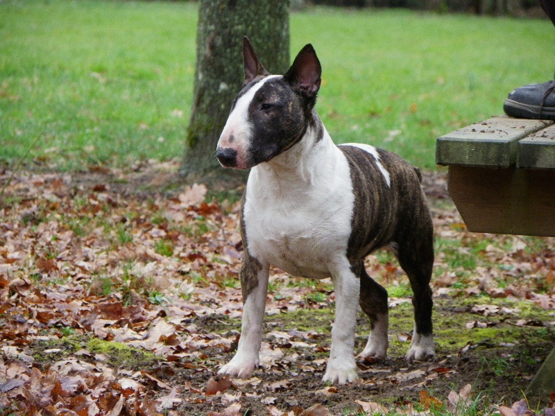 Publication : Heaven White Auteur : melanie