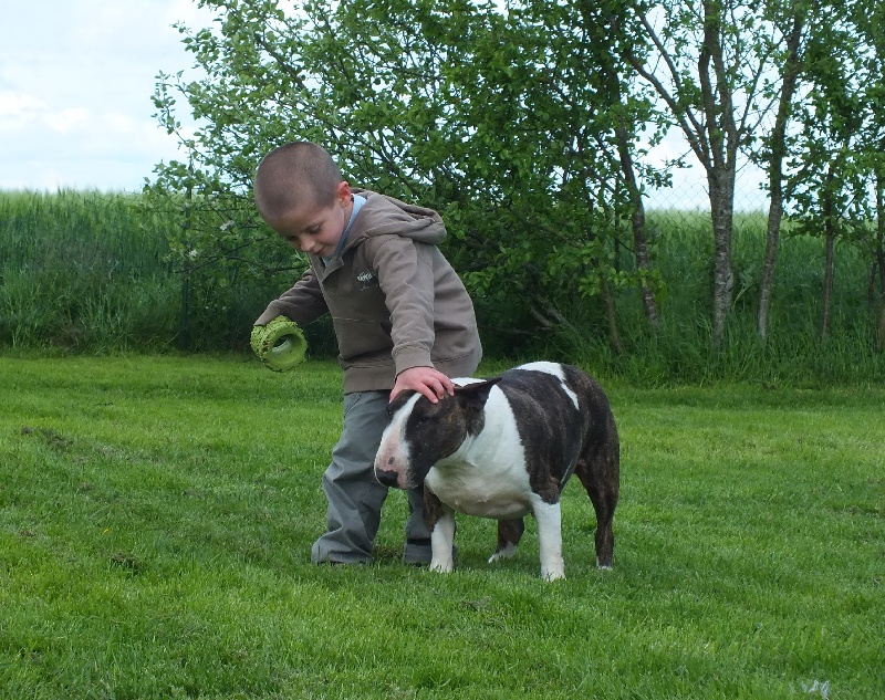 Publication : Heaven White Auteur : melanie