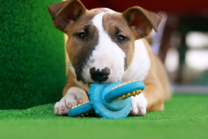 Heaven White Goose pimples amjelicious