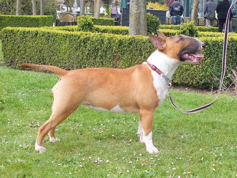 Heaven White Goose pimples amjelicious