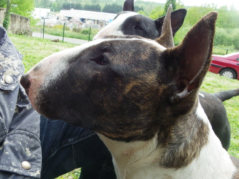 Publication : Heaven White Auteur : melanie