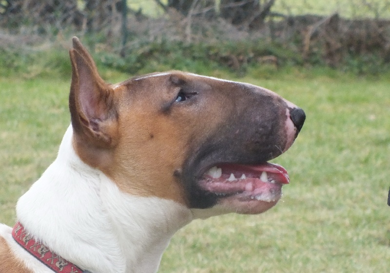 Heaven White Goose pimples amjelicious