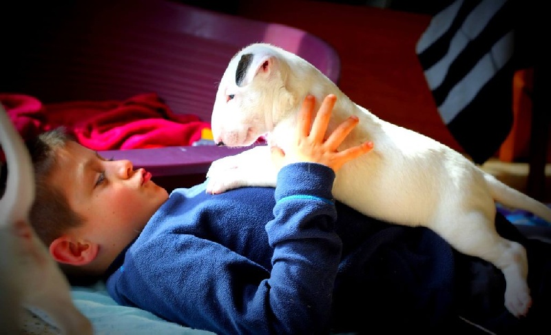 Heaven White Line dreams