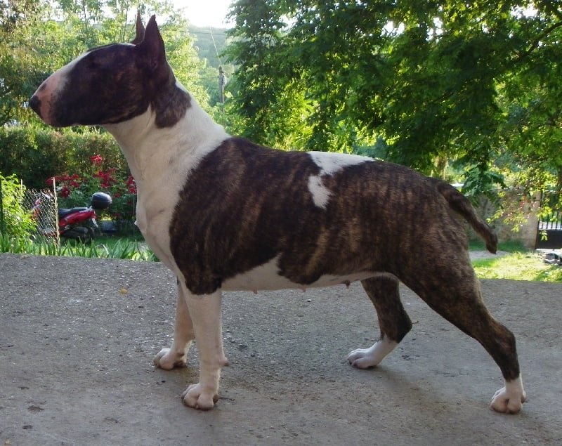 Publication : Heaven White Auteur : melanie